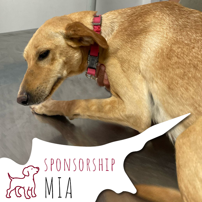 MIA