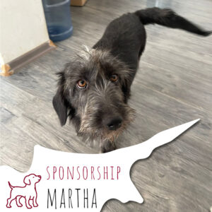Martha