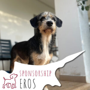 Sposorship_Northcyprus_EROS