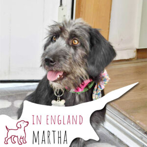 Martha in Egland