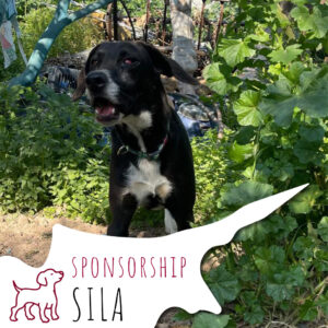 SILA