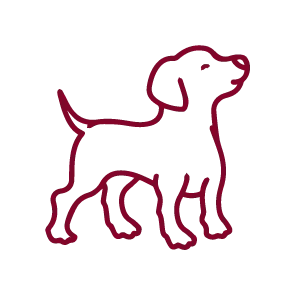 SPONSORSHIP DOGS
